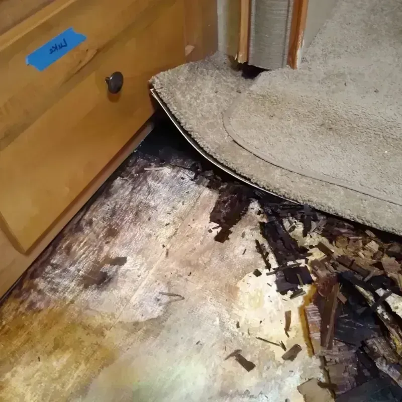 Best Wood Floor Water Damage Service in Niwot, CO